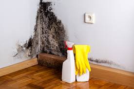 Best Mold Remediation for Healthcare Facilities in Bridgeville, DE